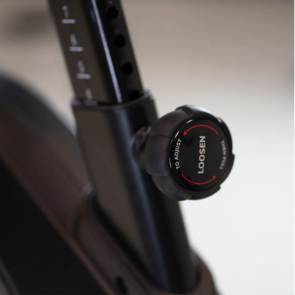 Miniatura 11